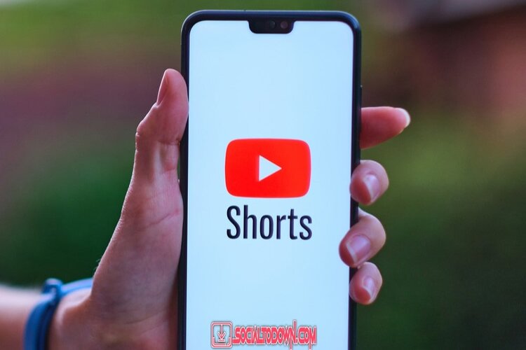 Online YouTube Shorts Video Downloader (HD, MP4, MP3) 2023
