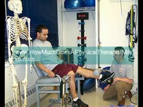 How Much Does An Occupational Physical Therapist Make Per Year - YouTube