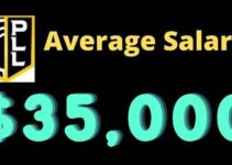 Average Professional Lacrosse Player Salary
