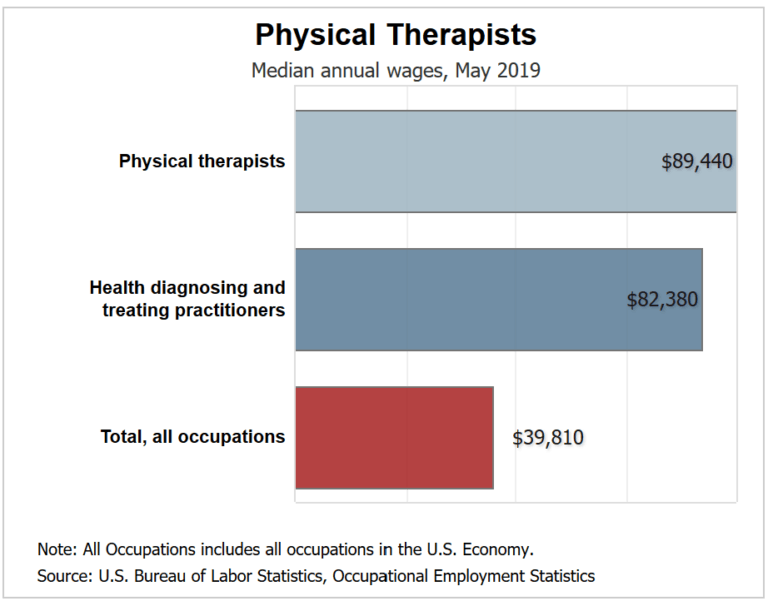Physical Therapist Job Description (Duties, Skills, Salary, Education